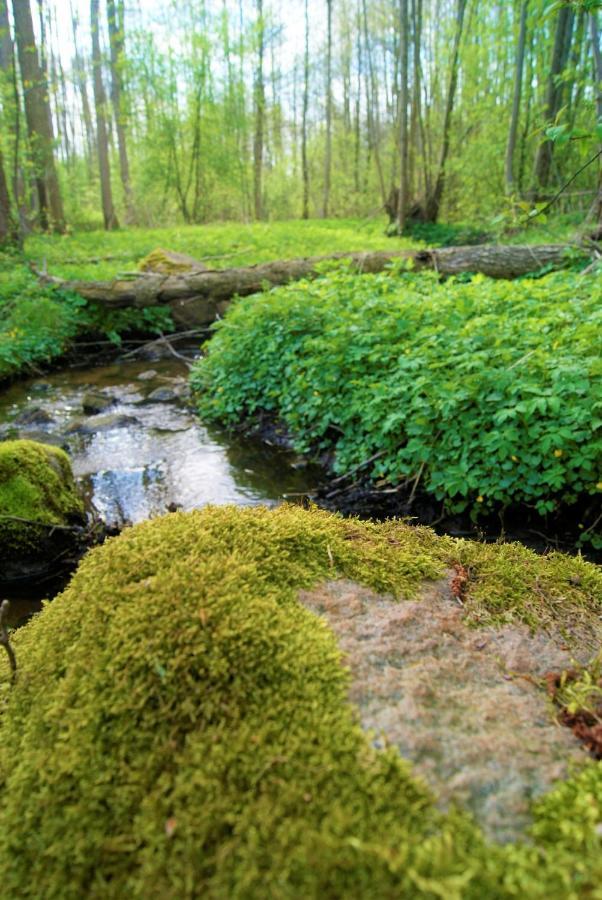 Losiowate Gospodarstwo Agroturystyczne Rybaki  Luaran gambar