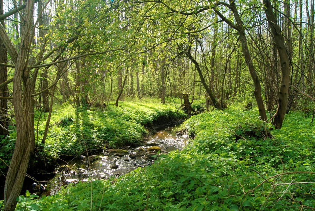 Losiowate Gospodarstwo Agroturystyczne Rybaki  Luaran gambar